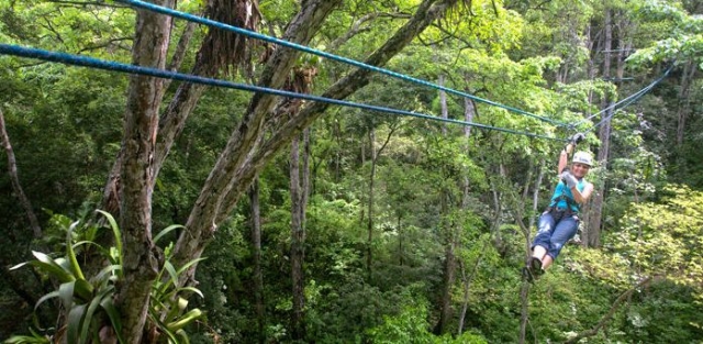 Deslizandose por los arboles